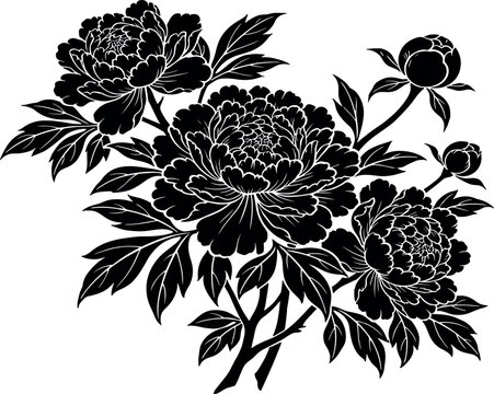Elegant black silhouette peony flower branch vector illustration featuring blooming blossoms buds and leaves for oriental designs