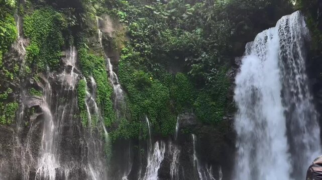 Towering cascades crash against mossy rock faces