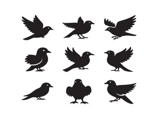 Fototapeta premium Set of black bird silhouettes in various flying and perched poses