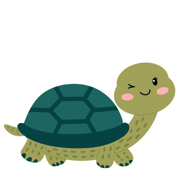 Illustration of cute turtle