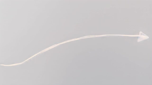 Hand-drawn white arrow Overlay Effect on Transparent Background