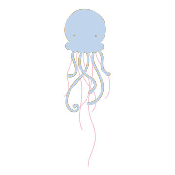 jellyfish on white background