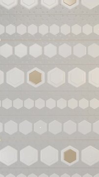White Hex Conveyor Bands