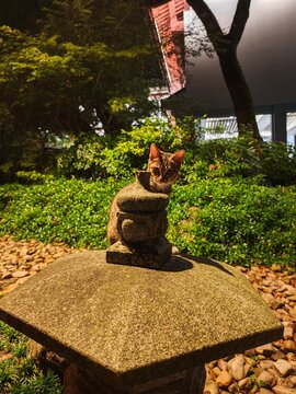 A stray tabby cat on the island of Putuo Mountain in Zhoushan (Zhejiang, China)