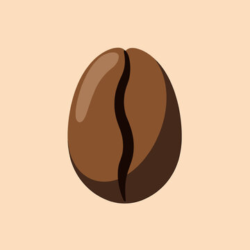 Close Up Single Coffee Bean with Rich Brown Color.
