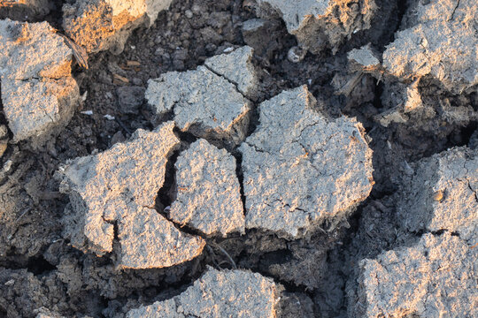 Close-up of Cracked Dry Earth Texture