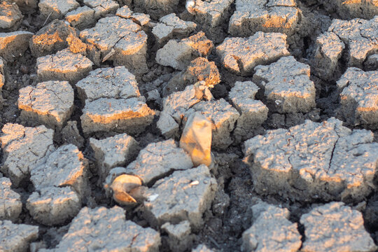 Close Up of Cracked Dry Earth