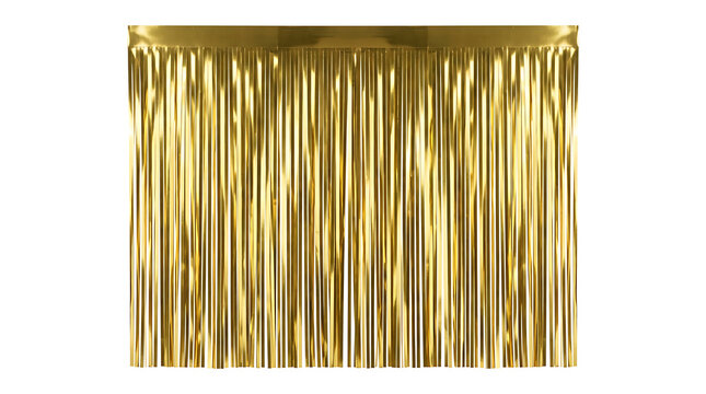 Gold Foil Fringe Curtain Party Backdrop Isolated on White