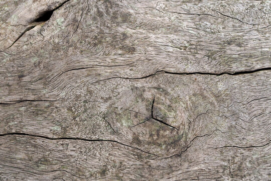 Close up of weathered old wood texture background with natural grain and cracks.