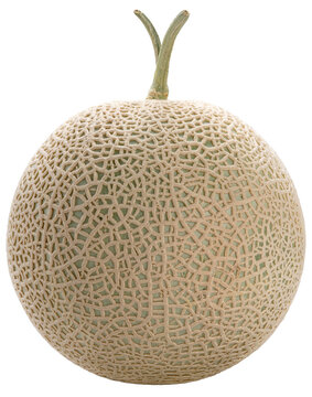 Orange Melon isolated on white background, Shizuoka Crown Melon or cantaloupe isolated on white background, With clipping path, for premium food packaging design PNG File.
