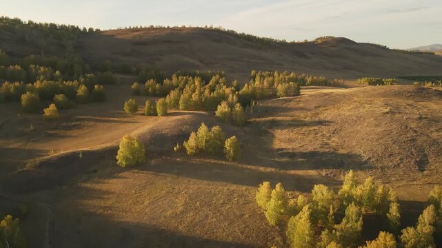 Yellow autumn trees in the mountains at sunset. View of the hills and mountains. Aerial view. Beautiful autumn landscape. 
