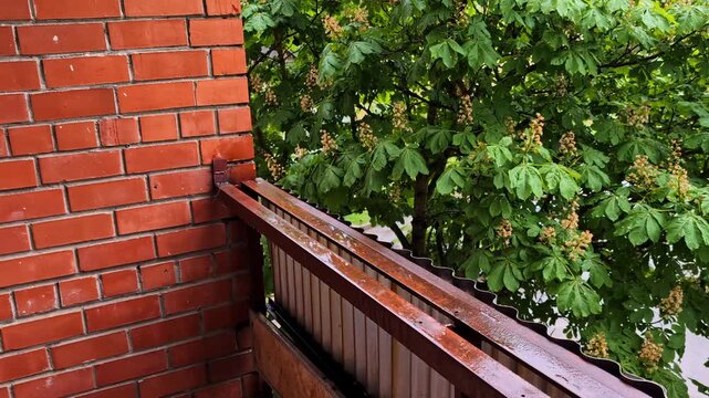 Heavy rain falling on a red brick house balcony with a flowering chestnut tree in the background