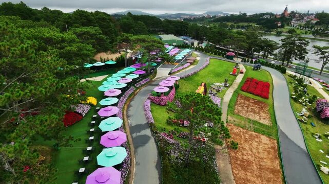 Aerial view of colorful umbrellas lining curved garden path in park setting