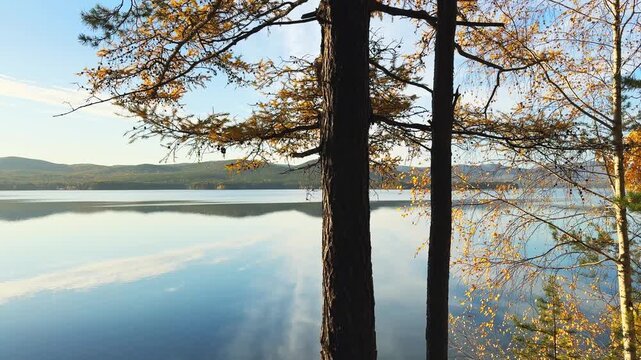 Yellow autumn pine trees on the shore of lake at sunset. Mountains are reflected in the water. Turgoyak lake in Southern Urals, Russia. Autumn landscape.
