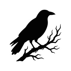 Fototapeta premium Black raven silhouette perched on a bare tree branch Editable_EPS