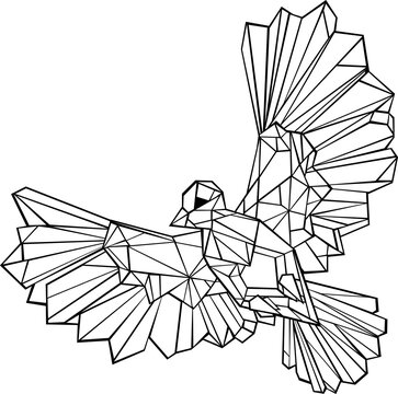 Polygonal doves