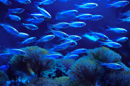 Neons schwimmen Wasser