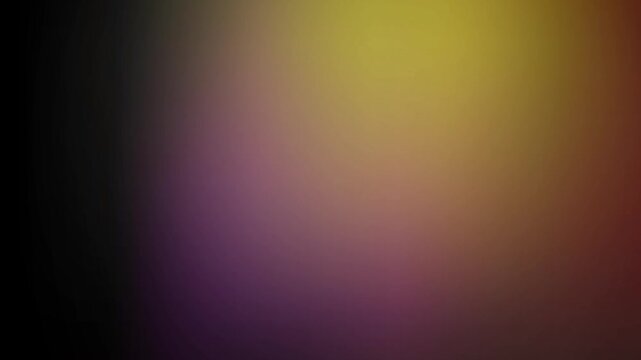 Abstract colorful animation. Soft blurred lights blend smoothly across a dark background with vibrant purple yellow and orange tones.