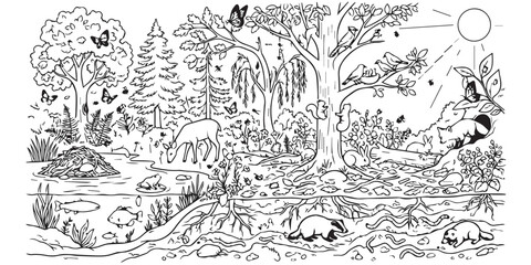 Fototapeta premium Black and white forest ecosystem illustration with wildlife and underground burrow cross section. Detailed line art drawing of a forest habitat featuring animals, trees, and an underground burrow view