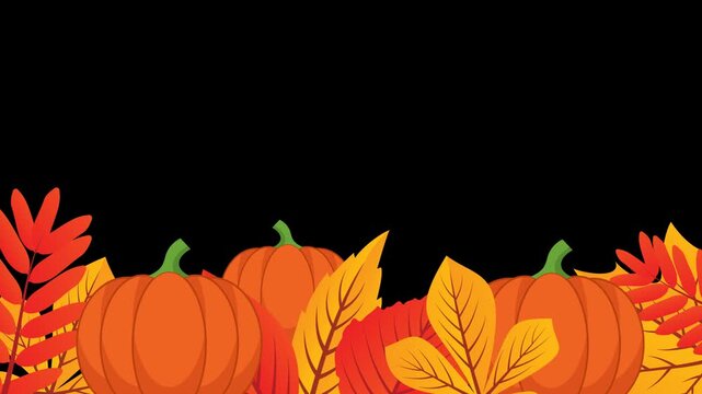Flat illustration of autumn autumn pumpkins and colorful maple leaves frame overlay on  Transparent background. Alpha Channel 4K	
