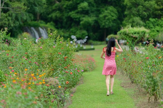 Woman in Red Dress Walking Through Beautiful Flower Garden in Nature
