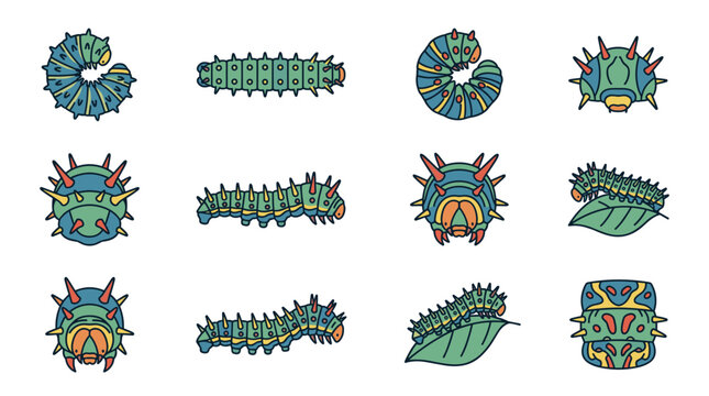 Detailed vector illustration of a Calleta silkmoth caterpillar (Eupackardia calleta) featuring vibrant green segments with distinctive blue and orange tubercles on a white background.