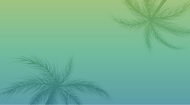 Minimalist summer backdrop featuring palm tree silhouettes on a beautiful teal and lime green gradient background