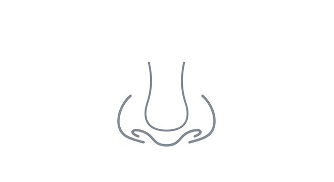 Subtle Contours: Monochromatic Line Art of a Human Nose