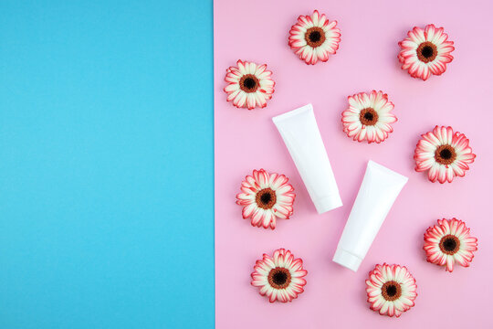 Flat Lay of Blank White Cosmetic Tubes With Gerbera Flowers on Pink and Blue Background
