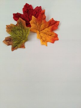 Colorful artificial autumn leaves isolated on white background. copy space, flat lay fall leaves, invitation design, leaves template, autumn greeting card, fall season background