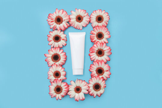 Flat Lay of a Blank White Cosmetic Tube Framed With Gerbera Flowers on Blue Background
