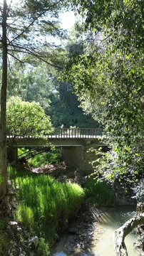 Aerial drone view of wooden footbridge crossing a forest creek in Michoacan, central Mexico filmed on a clear day with copy space