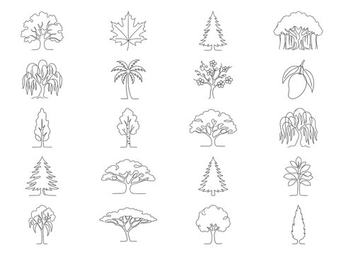 Minimalist Tree Line Art Grid Set - Oak Maple Pine Willow Palm Cherry Blossom and Mango Tree Illustrations