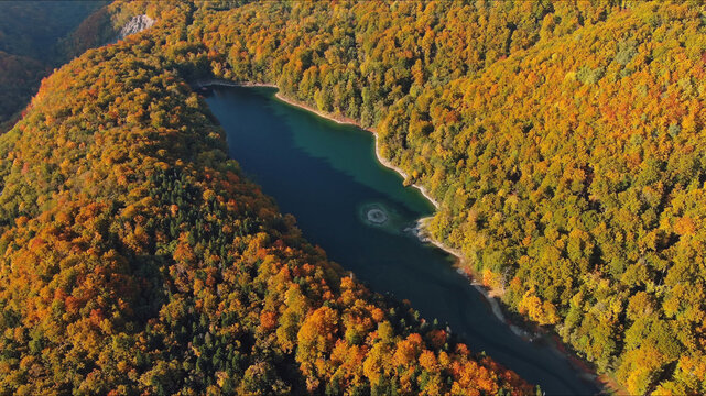 Biogradsko lake surrounded by mountains covered with bright autumn trees