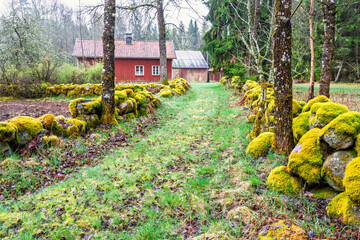 Red cottage and moss covered stone walls in the countryside by forest edge © Lars Johansson
