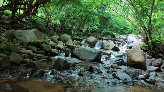 Peaceful Creek Flowing Through Lush Tropical Forest and Rocks