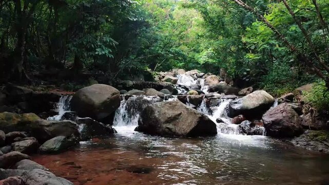 Rocky Forest River Flowing Through Dense Green Woodland