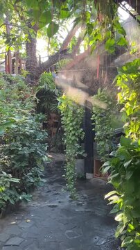 A serene garden path surrounded by lush greenery and sunlight filtering through the trees. The stone pathway leads to a tranquil area.