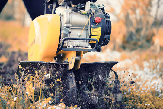 plowing the garden with special equipment on a autumn day