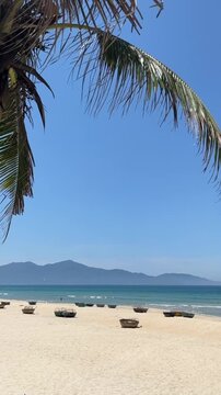 A serene beach scene with golden sand, clear blue water, and distant mountains. Palm trees frame the view, creating a tropical atmosphere.