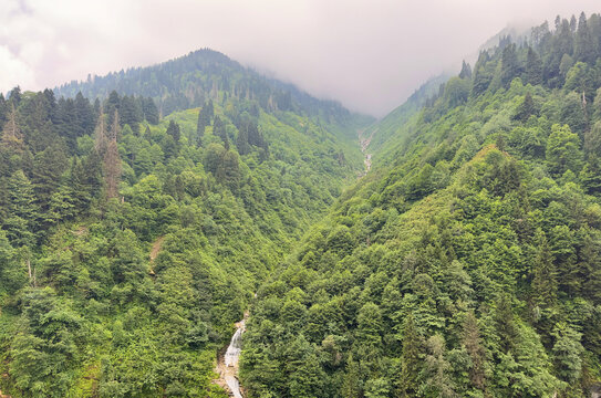 Gelin Tulu Waterfall Cascading Through Lush Green Forest in Ayder Plateau, Rize, Northern Turkey