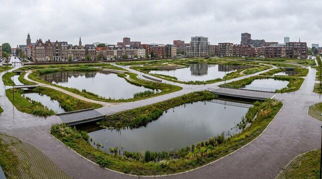 urban green space with ponds and paths for water management