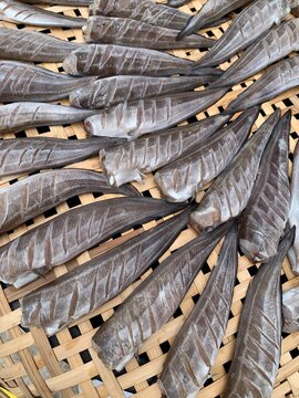 dried aged fish in local craft process on plate