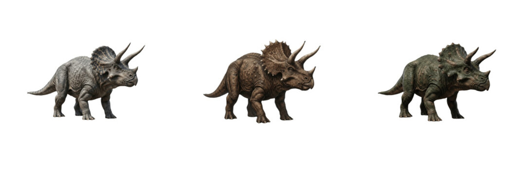 Three realistic Triceratops dinosaurs with detailed skin textures standing in profile isolated on white background, high-resolution stock PNG image for design projects, prehistoric creature illustrati