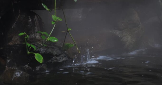 Small Waterfall and Green Plants in Misty Atmosphere Close-Up