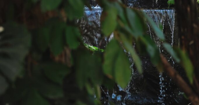 Water Cascade Behind Blurred Green Foliage Close-Up