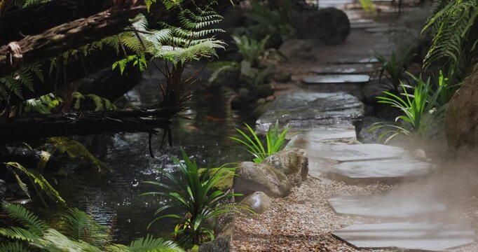 Stone Path Through a Misty Tropical Garden with Ferns and Stream