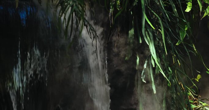 White Mist Rising Through Dark Green Tropical Foliage Close-Up