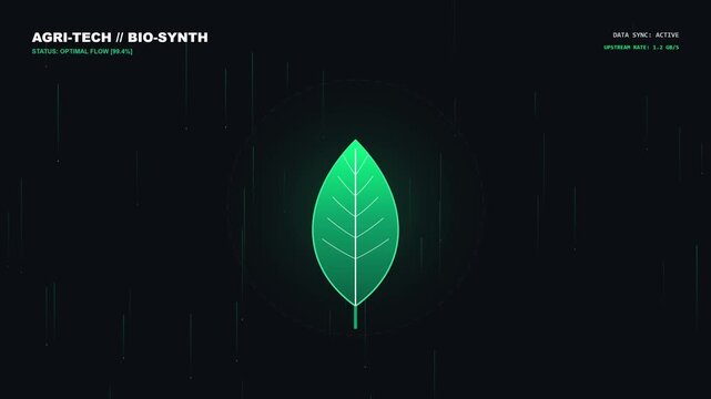 Green leaf with visible veins centered on dark background