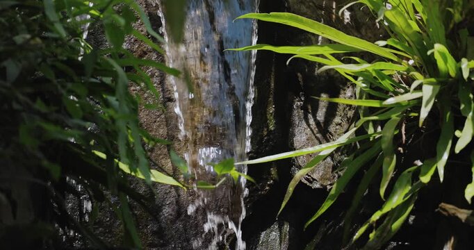 Water Cascading Down Dark Rock with Green Foliage Close-Up
